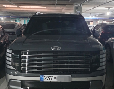 용인 | 현대 디 올 뉴 팰리세이드 출고 후기